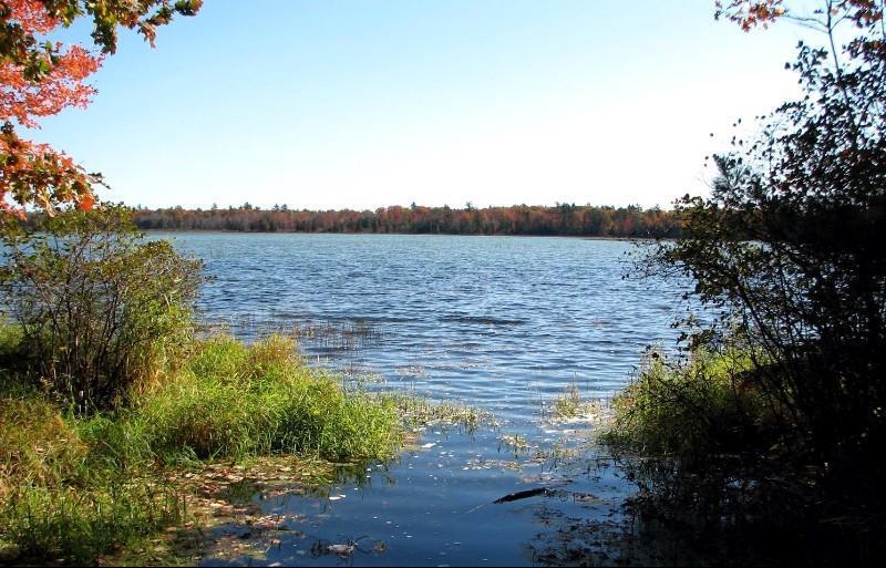 Beachfront Hotel Houghton Lake Φύση φωτογραφία