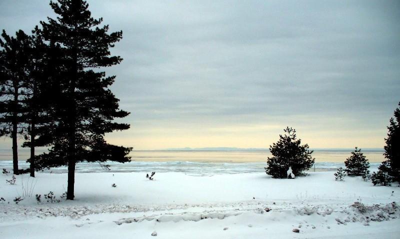 Beachfront Hotel Houghton Lake Φύση φωτογραφία